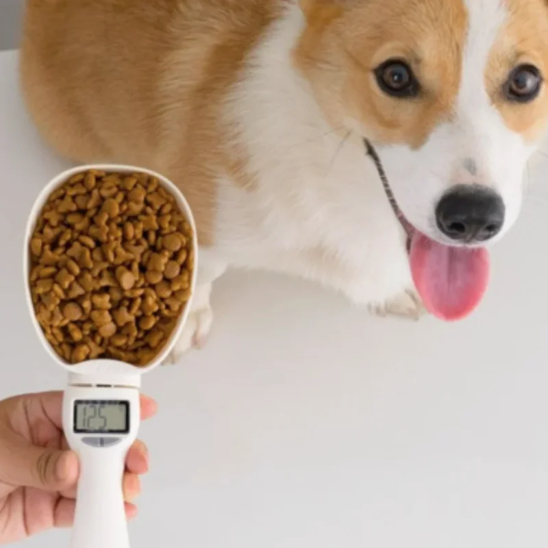 Intelligent Electronic Cat Dog Food Scoop Weighing Scale Pet Feeding Measuring Spoons with Scales Kitchen Pet Food Accessories Intelligent Electronic Cat Dog Food Scoop Weighing Scale Pet Feeding Measuring Spoons with Scales Kitchen Pet Food Accessories