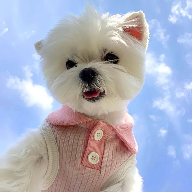 Pet Dog Shirt Summer Dog T-shirt Thin Dog Clothes for Small Medium Dogs Breathable Puppy Clothes Chihuahua Clothing Accessories