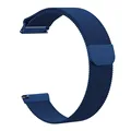 Blue-ML