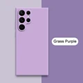 Grass Purple