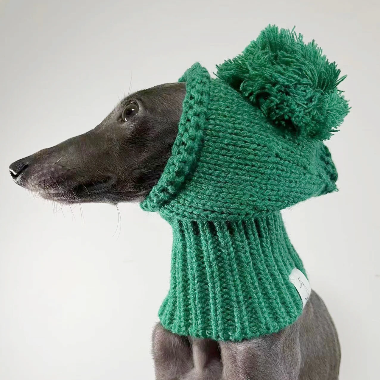 cute-green-christmas-pet-hat-for-whippets-italian-greyhounds-bichon-frises-schnauzers-more