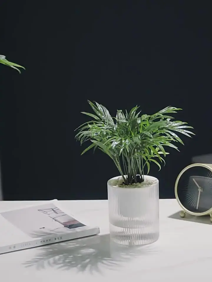 Pot De Fleurs En Plastique Avec Arrosage Automatique Et Corde Absorbante