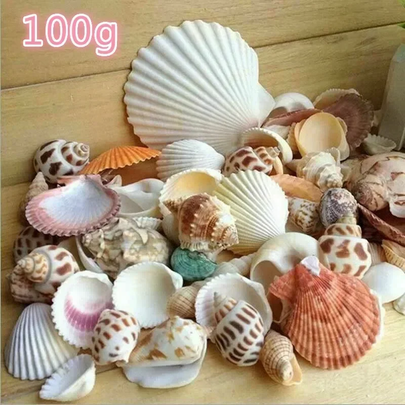 Natural Shell Ornaments 1/50/100pcs Gram Mix Natural Sea Shells Conch Coquillage Beach Decor Craft Marine Style Fish Tank Seashells Conch Embellishment