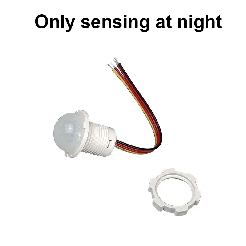 PIR-20 Only at night