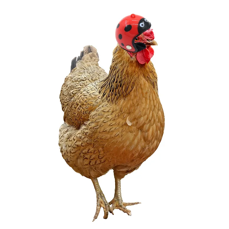 New Chicken Helmet Pet Supplies Protective Chicken Hat Hamster Funny Headband Bird Toy Doll Animal Headgear