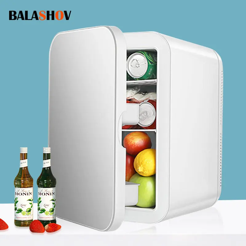 Mini Fridge Refrigerator 12V/220V Beauty Cooler Warmer Refrigerators Constant Temperature Skincare Preservation for HOME CAR