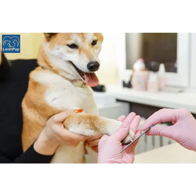 Dog Nail Filer,Nail Grooming Tool,Dog and Cat Nail Files,for Smoothing Rough Edges of Pet’s Nails, Nail Filer for Dogs & Cats 3