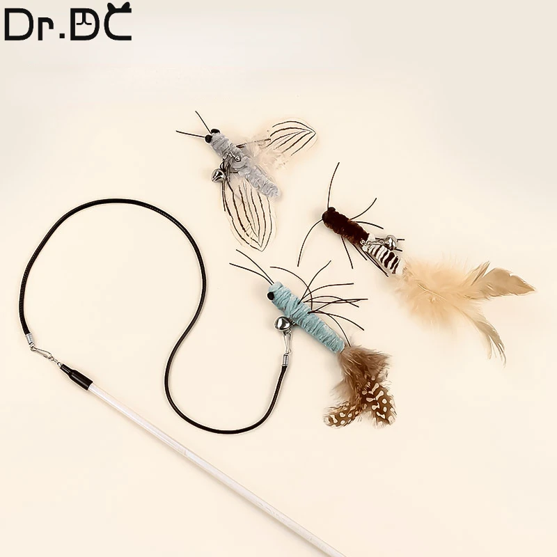 Dragonfly Feather Cat Teaser 1