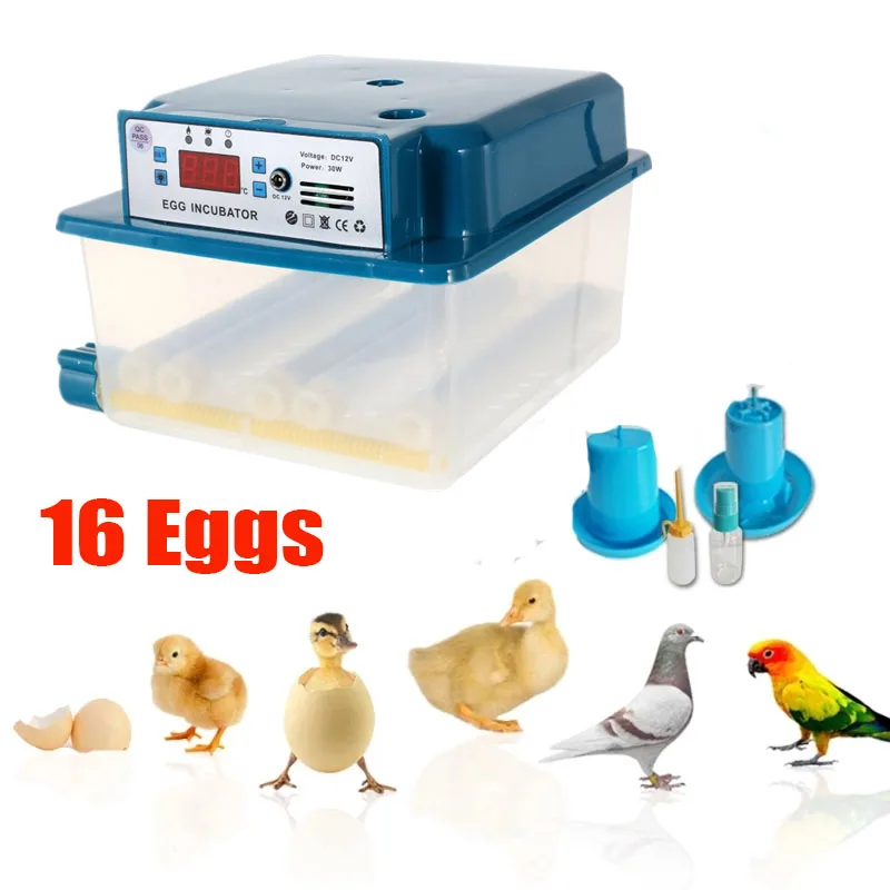 

Iincubator Egg Automatic Incubator Nrooding Machine Chick Incubator Home Incubator Controller Farm Egg Incubator 16 eggs