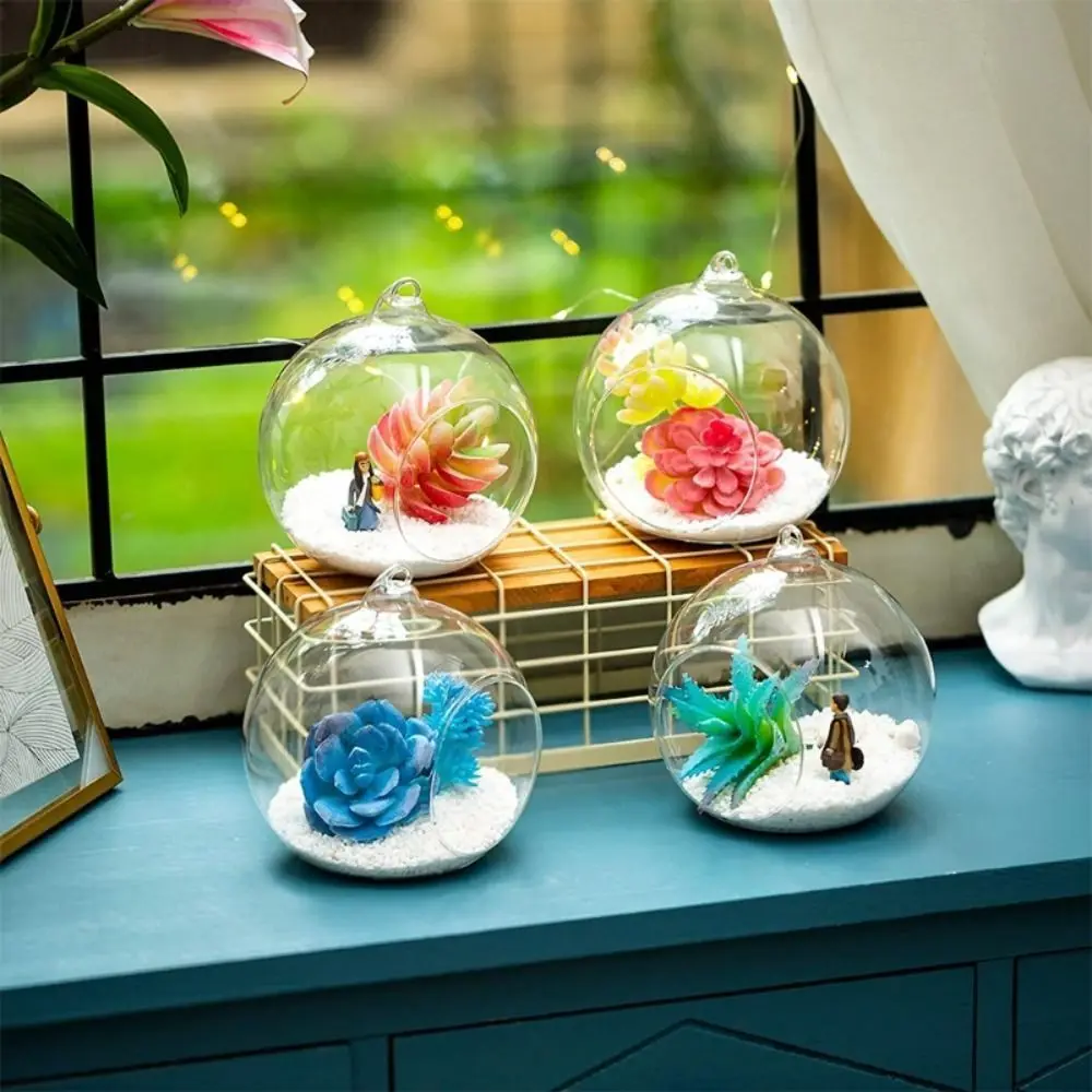 Transparent Hanging Glass Vases Ball Clear Hanging Tealight Holder 6/8/10/12/15cm Borosilicate Glass Glass Planter Moss 3