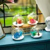 Transparent Hanging Glass Vases Ball Clear Hanging Tealight Holder 6/8/10/12/15cm Borosilicate Glass Glass Planter Moss 3