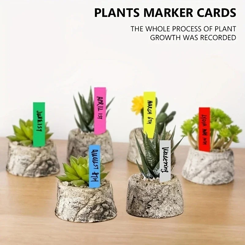 Description Picture 6 of item100pcs Garden Plant Labels Plant Accessories Flower Pots Plastic Plant Tags Nursery Markers Label Tray Mark DIY Tool