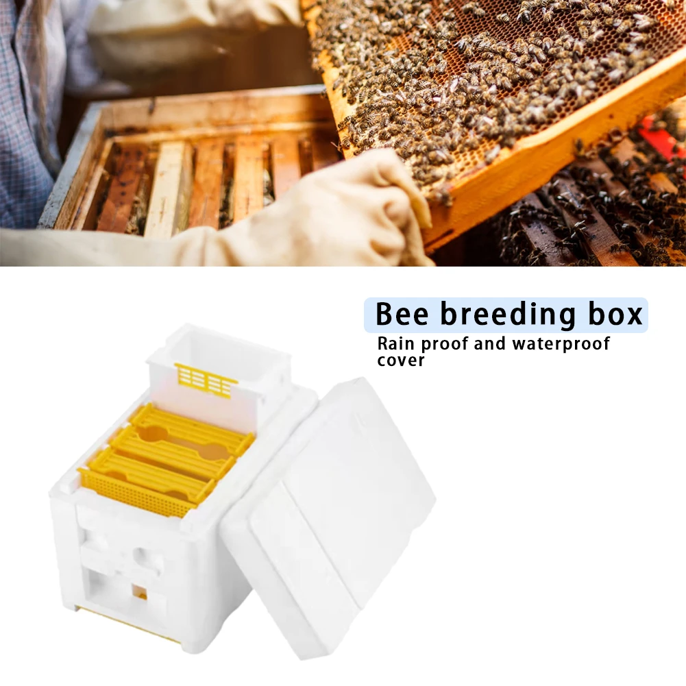 King Beehive Garden Bee Keeping Bee Tool Nest Case Bee Hive Frame Holder Equipment Kit Bee Hive Foam Beekeeping Box