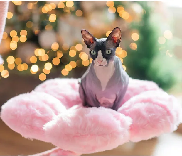 Luxury Cute Multi-layer Pink Wood Floral Cat Tree Tower Modern Cat Climbing Flower Condo Tree With Sisal Scratching Post