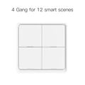 4 Gang Scene Switch