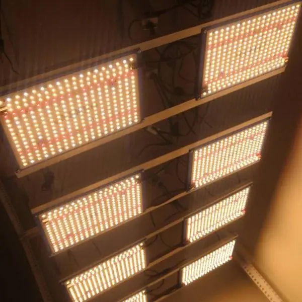 QkwinLEDGrowLight Store