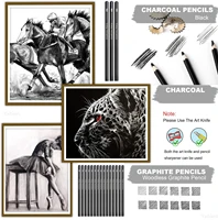 Drawing Pencils Sketch Pencil Professional Sketching Art Graphite Charcoal Blending Stump Pencils kit (25 art supplies) 6