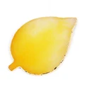 Leaves Yellow