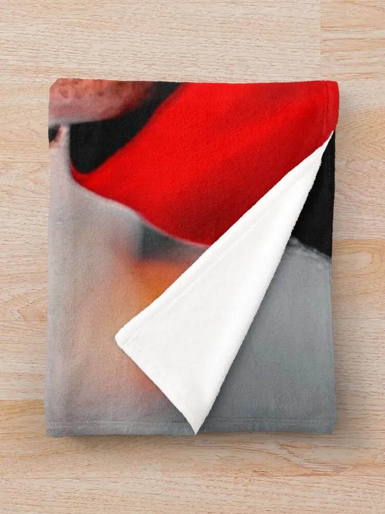 Carlos Sainz ������ ���, ��Ʈ�� ���, �ҷ��� ���