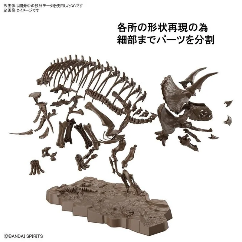 Bandai Original Animals Action Figure 1/32 Imaginary Skeleton Triceratops Assembly Model Toys Collectible Model Gifts for Kids images - 6