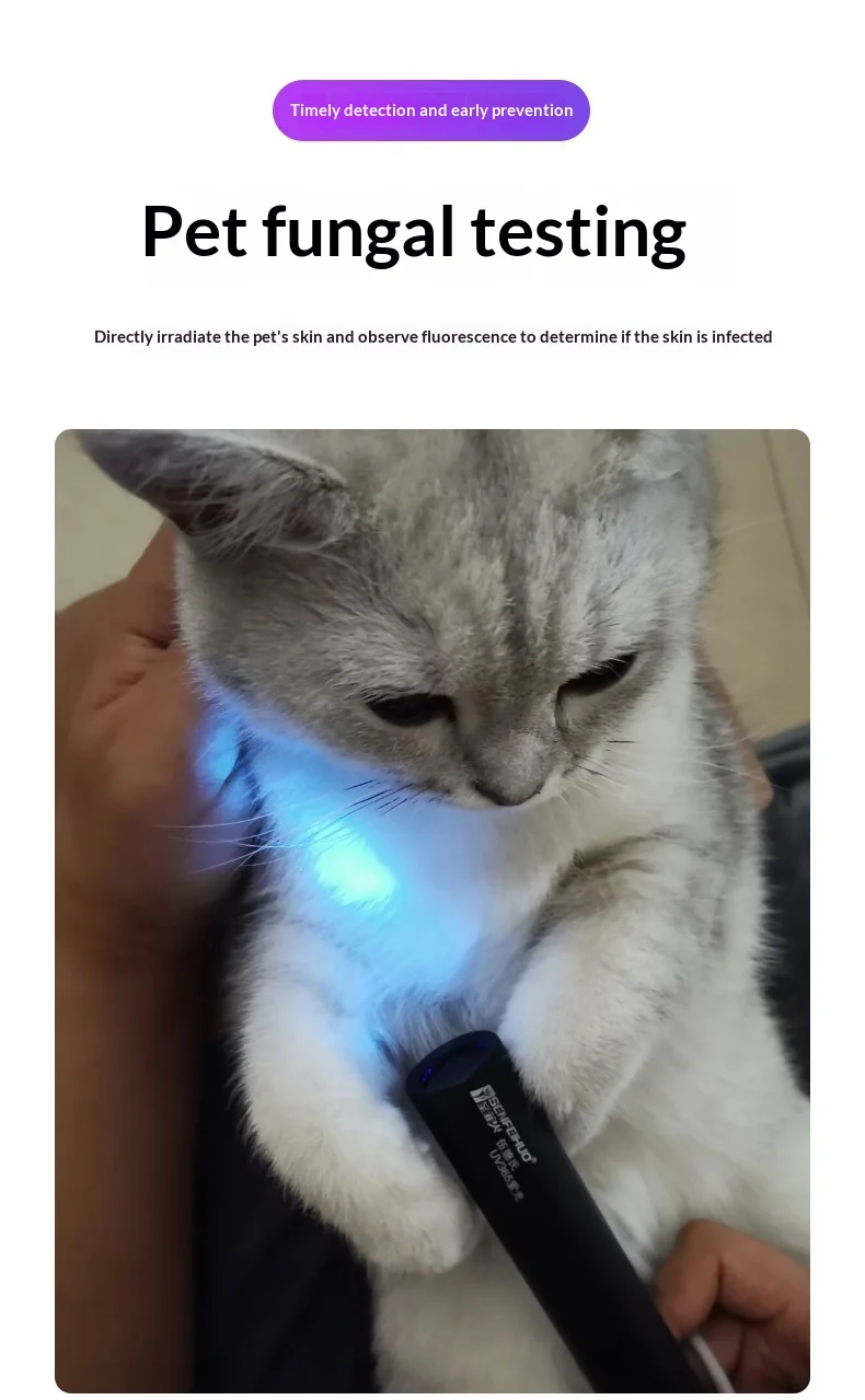 Uv Lamp For Ringworm Detection In Pets Portable Pet Skin Light_voghion.com