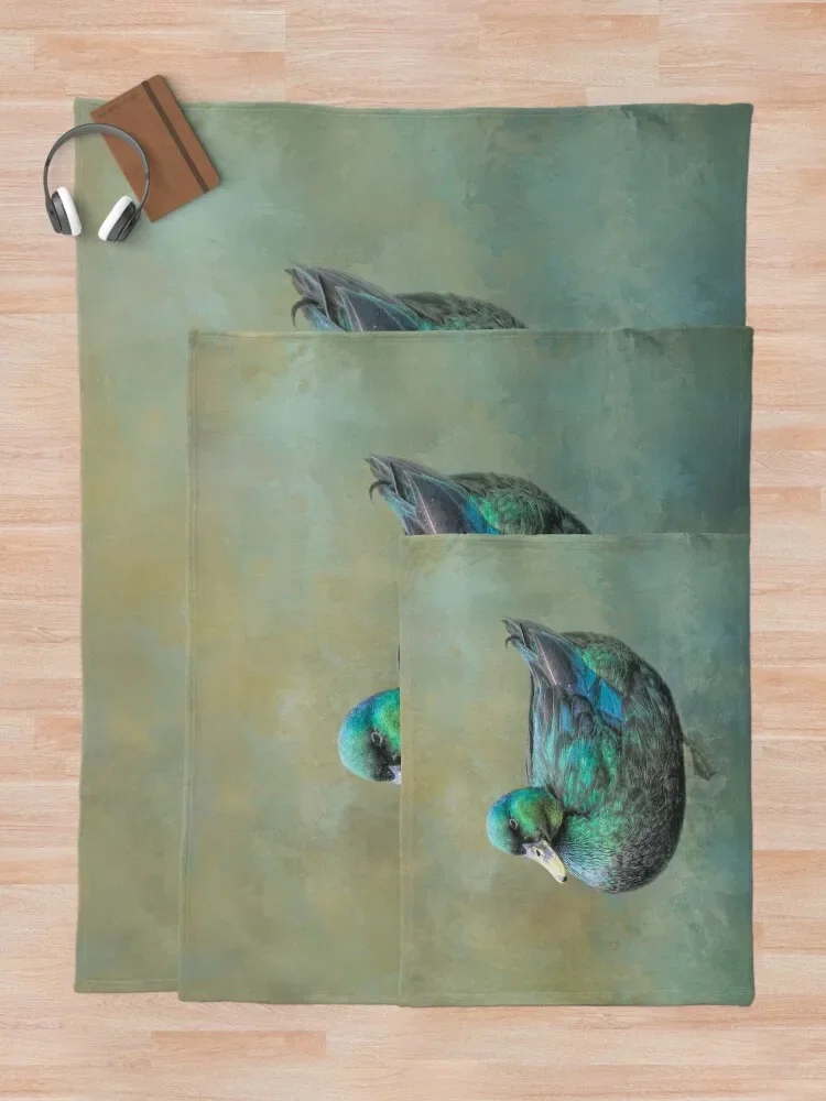 ī���� ���� ������ ���, ��Ʈ�� �ִϸ��̼� ���� ���