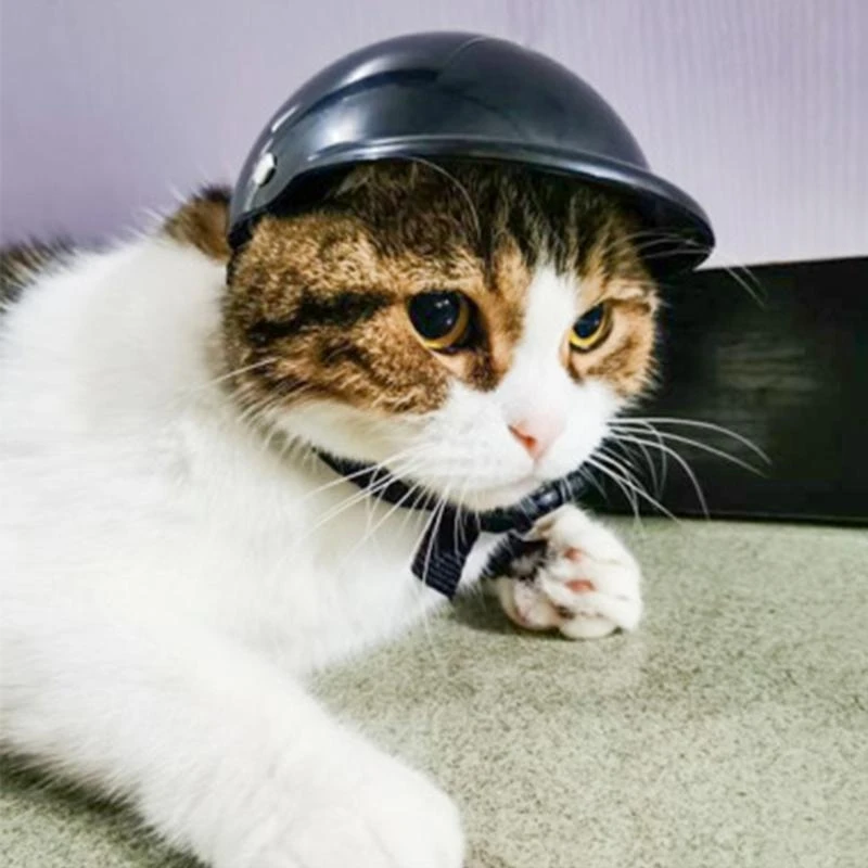 애완 동물 헬멧 강아지 고양이 및 작은 중간 개를위한 미니 오토바이 헬멧 창조적 인 사진 최고의 판매를위한 햇볕 방영 바람 방전