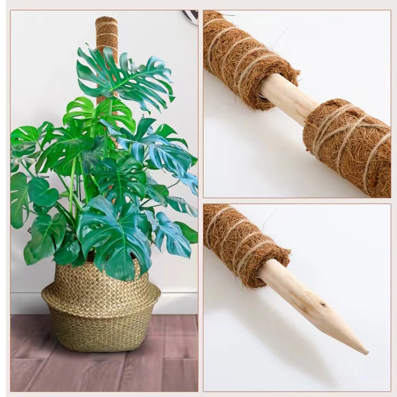 Plant Climbing Support Coconut palm sticks Extendable and deformable for gardening plant accessories
