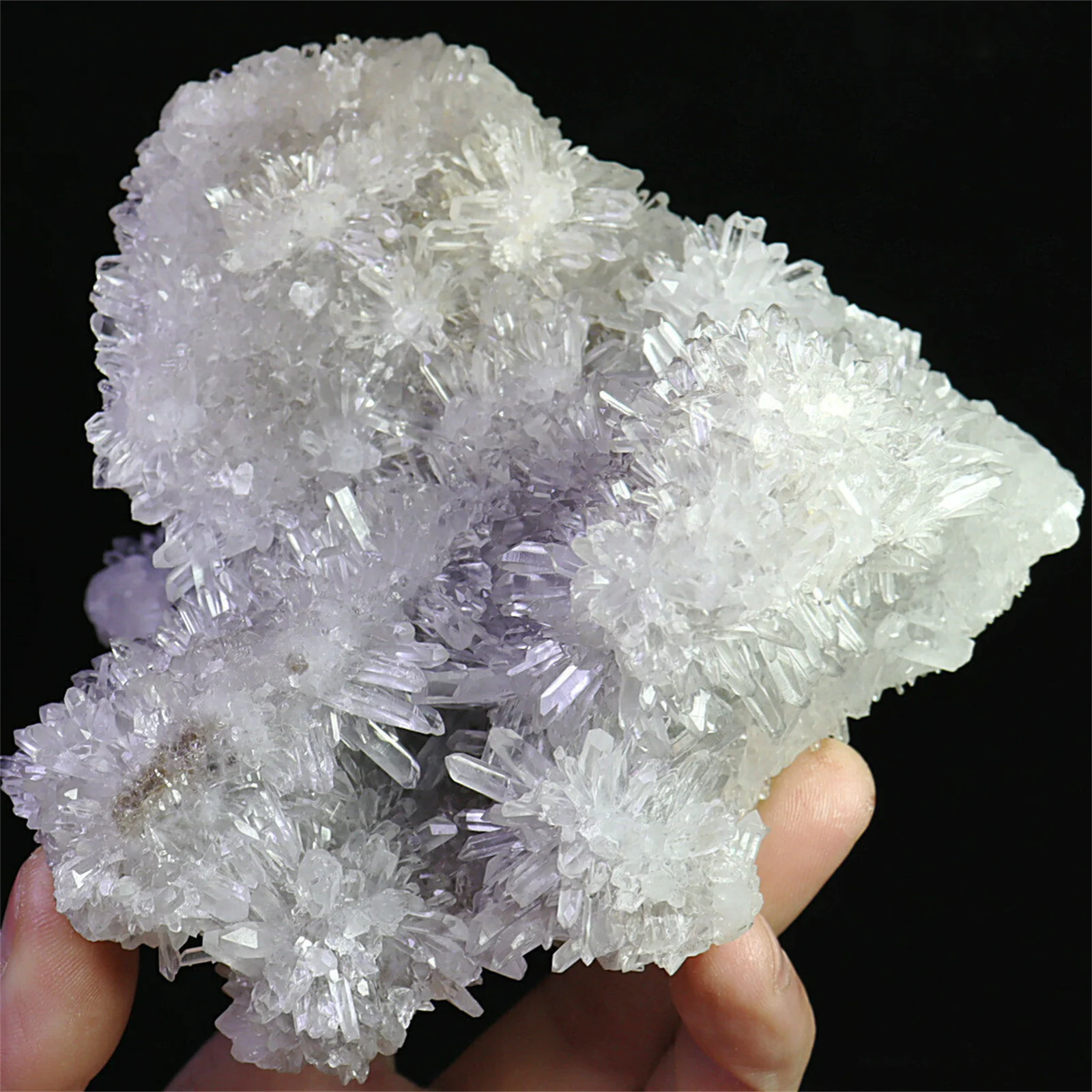 Newly Discovered Transparent Natural White Chrysanthemum Crystal Cluster Quartz Specimen 6