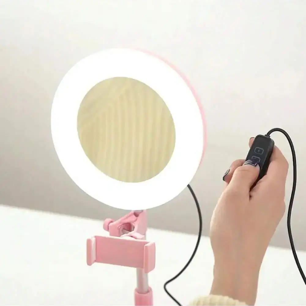 LED Portable Makeup Mirror With USB Charging, Portable Beauty Supplement Light, Makeup Mirror
