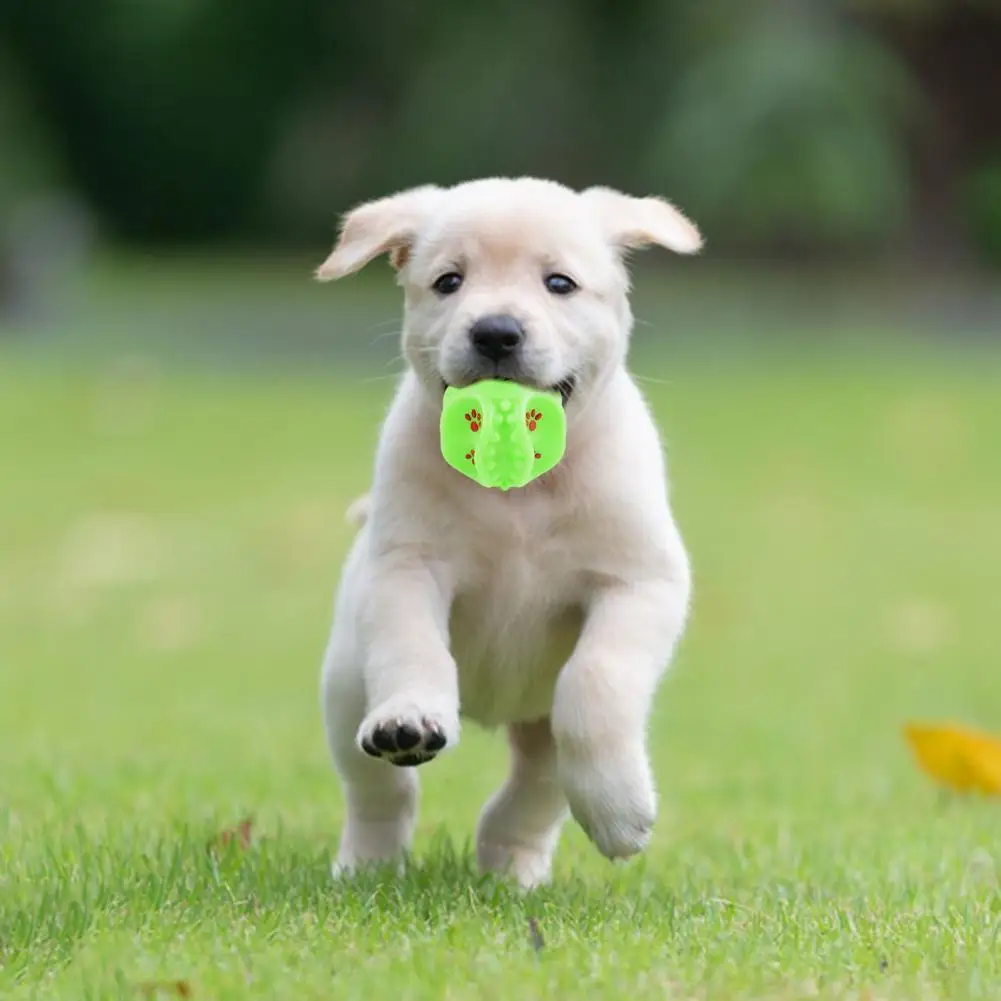 

Игрушечный мяч для питомца со звуковым генератором, выступающий дизайн, игрушечный мяч для питомца, прочный, едящий шар, привлекательный пазл, игрушка для коренных зубов для собак