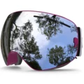 C20 Purple Silver