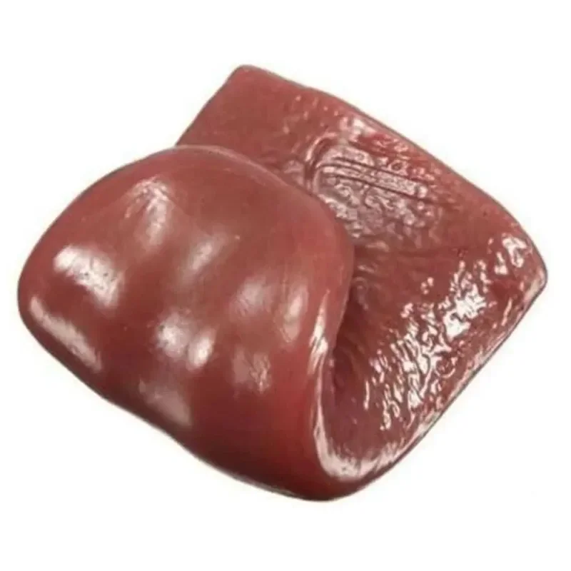 Prank Toys 2pcs Horror Funny Tricks Whole Person False Simulation Rubber Tongue Prank Maker Trick Kids Boy Toys Halloween