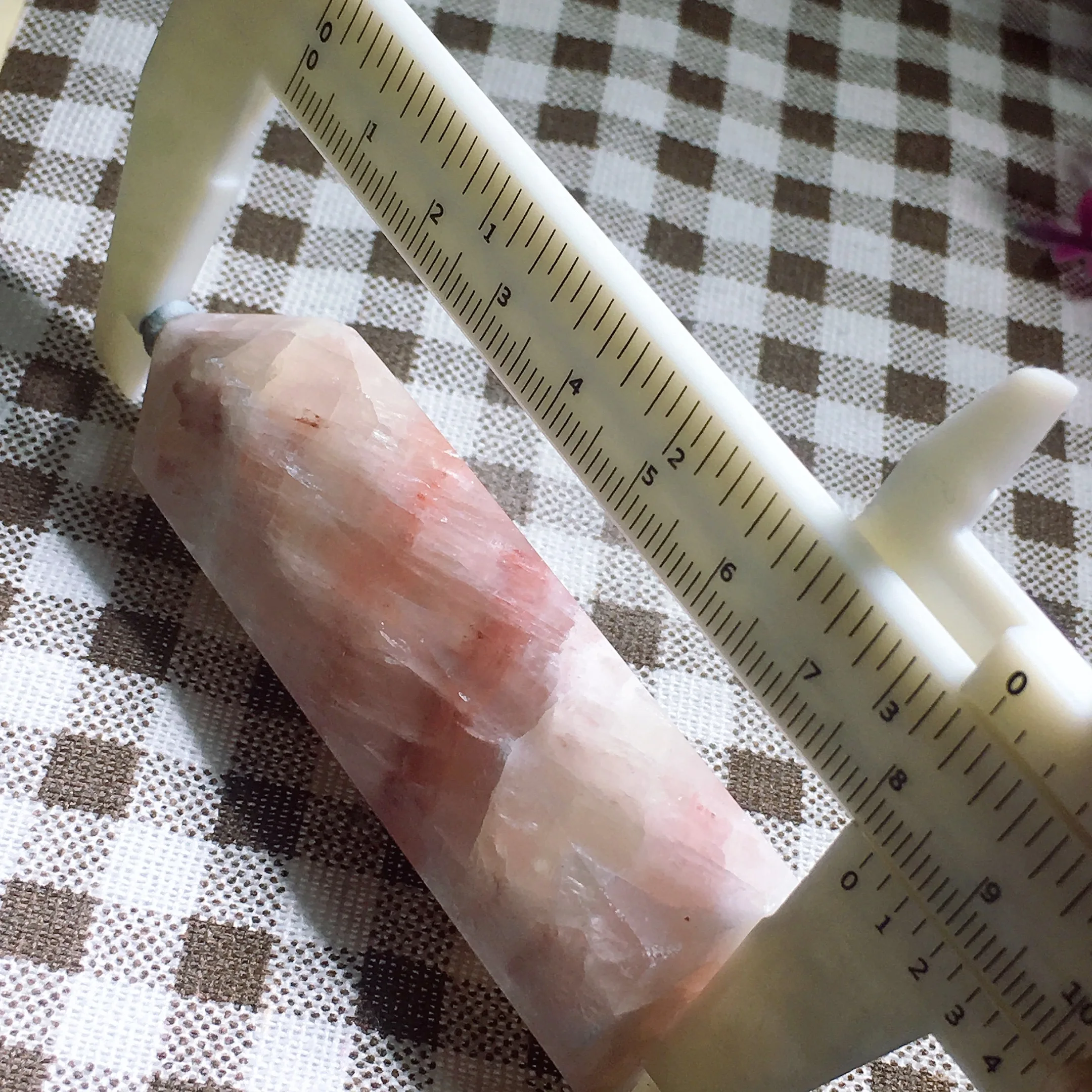 Pink Caribbean Tower 2549