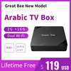 Great Bee New Arabic TV Box, Greatbee 2GB+16GB 2.4G & 5.0G Dual Wi-Fi Arab 4K Media Player Smart Set Top Boxes 1