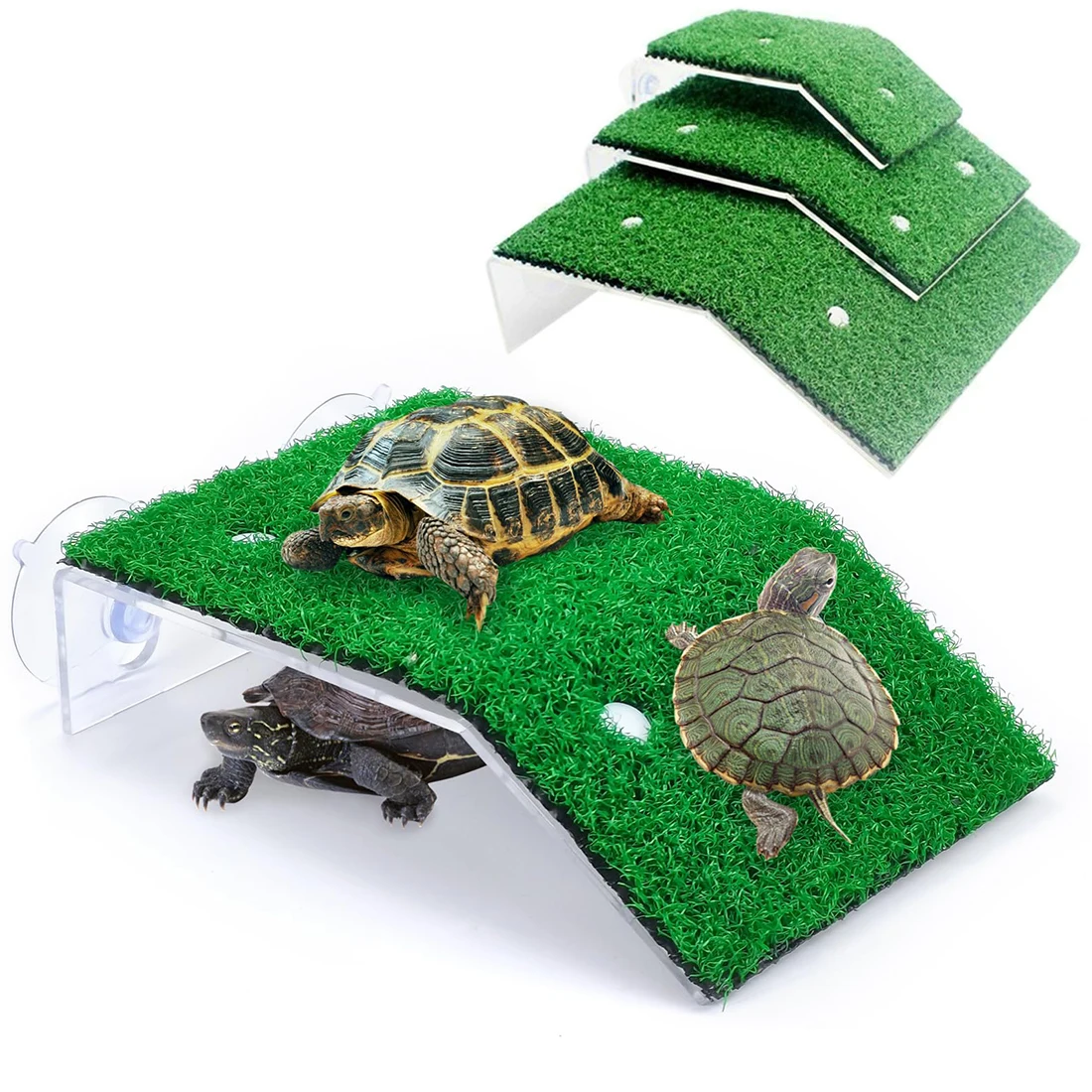 Turtle Basking Platform Ramp 1