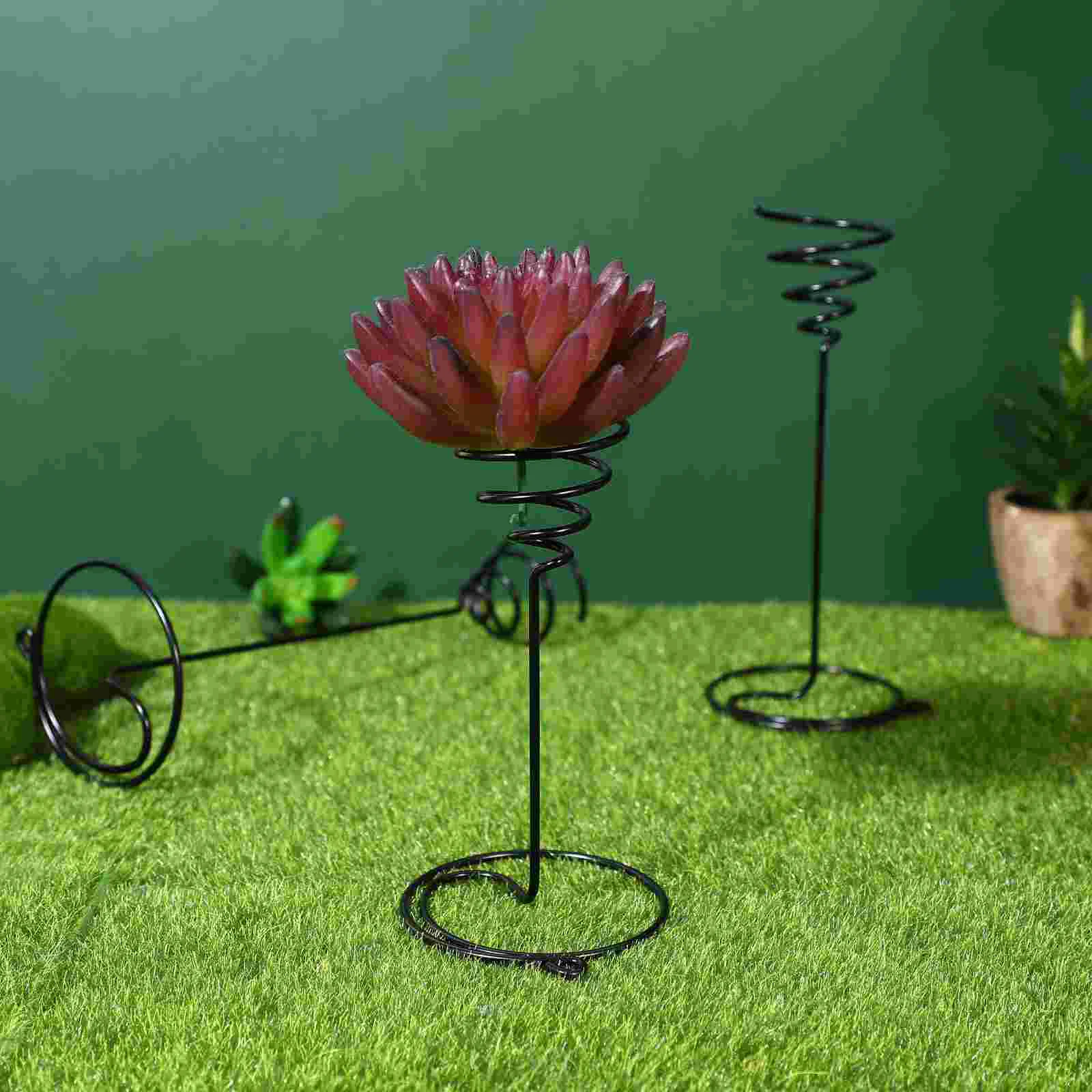 3 Pcs Air Plant Holder Spiral Flower Stand Plant Display Rack Metal Premium Durable Home Office Decoration Tillandsia Container