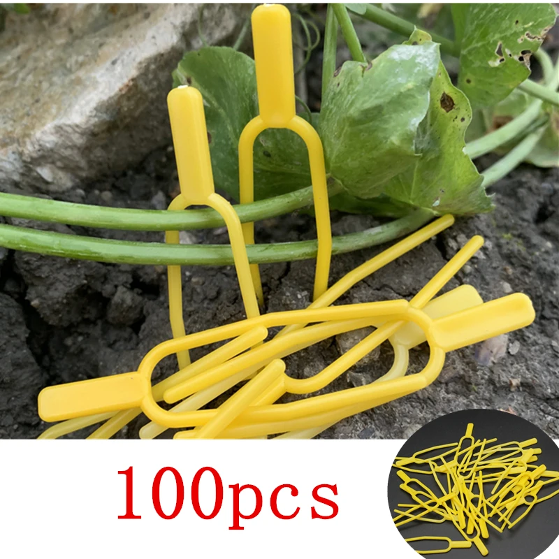 100pcs Plastic Plant Climbing Support Clips Plant Vine Holder For