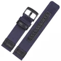 Blue Black Buckle