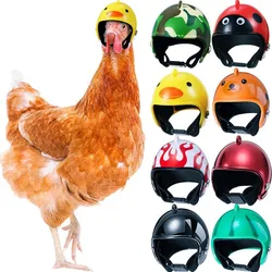 1 PCS New Arrival Pet Chicken Helmet Small Pet Poultry Bird Duck Headgear Hat Caps Head Protector Bird Head Helmet Pet Supplies