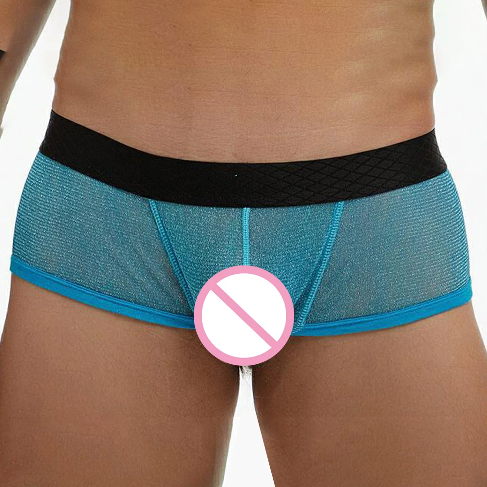 

Mens Sexy Bulge Pouch Boxer Low Waist See-Through Mesh Underpants Shorts Summer Thin Breathable Underwear Lingerie Trunks A50
