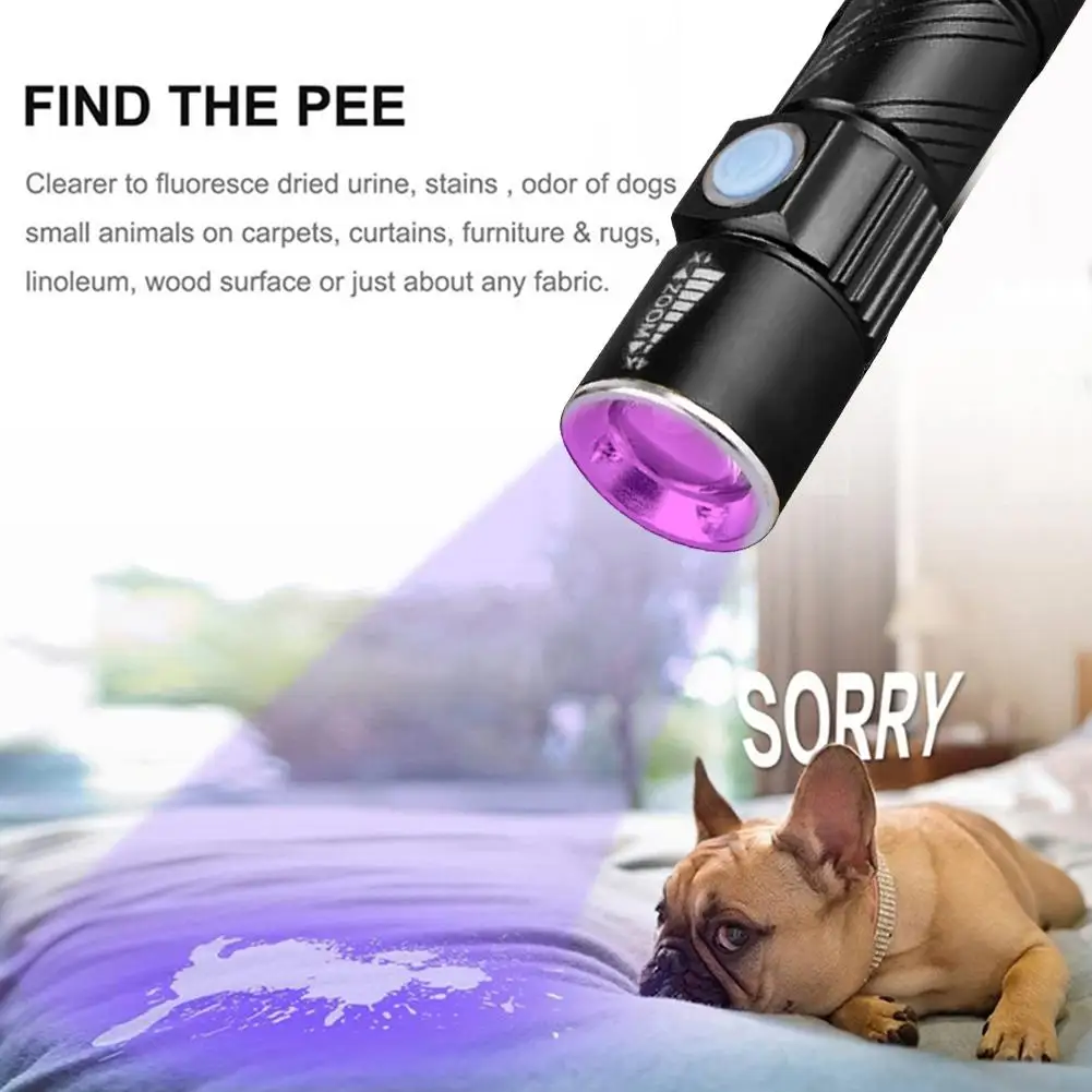 Mini UV Flashlight 365nm Handheld UV Flashlight IPX4 Waterproof Ultraviolet Blacklight USB Charging for Dog Cat Urine Pet Stains