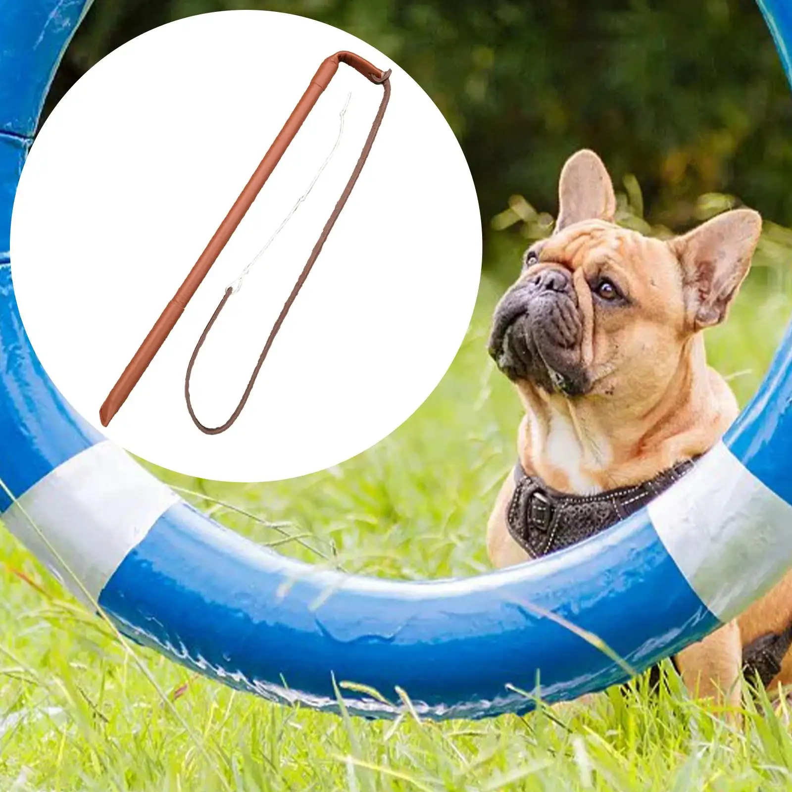 Professional Dog Training Agitation Whip Aggressive Pets Obedience Entertainment Agility Training Exercise Toy