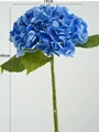 Deep blue