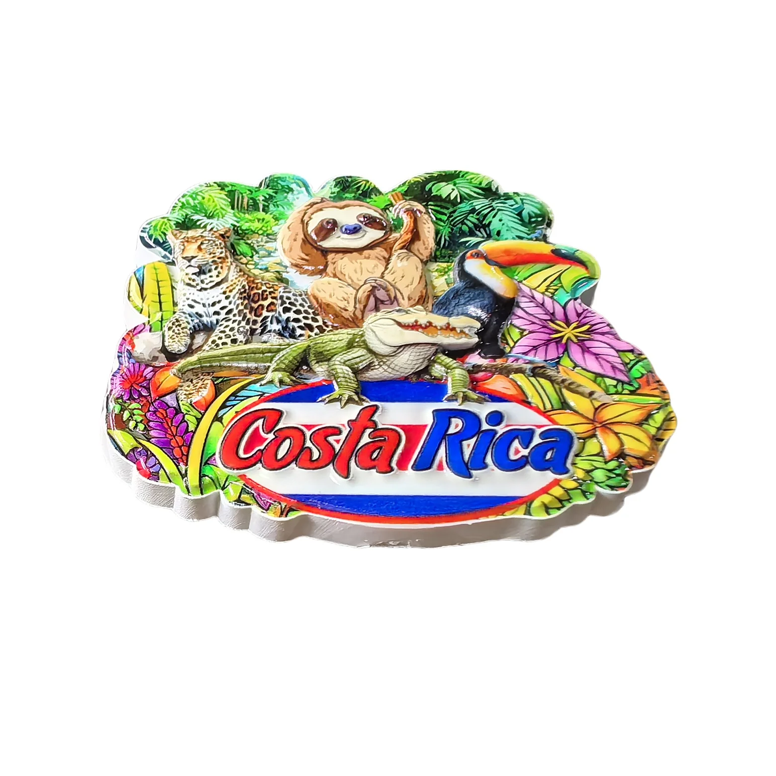 3D樹脂製冷蔵庫用マグネット,手作り,家の装飾,お土産ギフト,冷蔵庫用