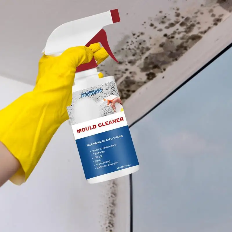 Mildew Removal Active Foam Spray, Refrigerator Seal Ring Mold Removal, Home  Wall Tile, Multi-purpose Mildew Cleaner - AliExpress