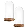 Dia 20cm Free Clear Handcrafted Glass Dome with Brown Wood Stand Home Decor Clear Oval Glass Domes with Base 6