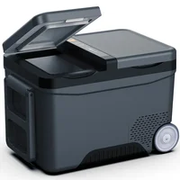 Compresseur de réfrigérateur de voiture à deux portes, stockage de gel de camion, utilisation des touristes dans la voiture et la maison, mini indispensable, 12V, 24V 1