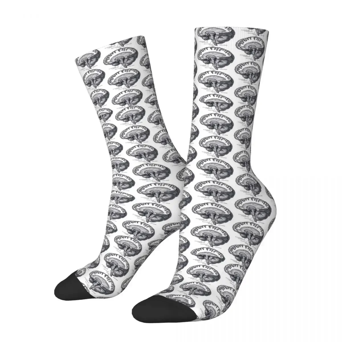 

Brain Anatomy Socks Harajuku High Quality Stockings All Season Long Socks Accessories for Man's Woman's Christmas Gifts