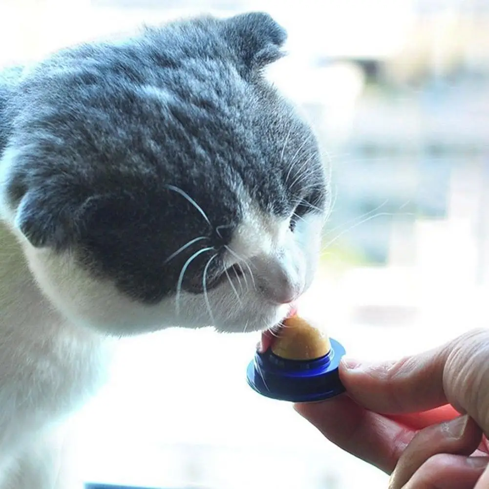 Healthy Cat Snacks Catnip Sugar Candy Licking Energy Nutrition Toys Ball
